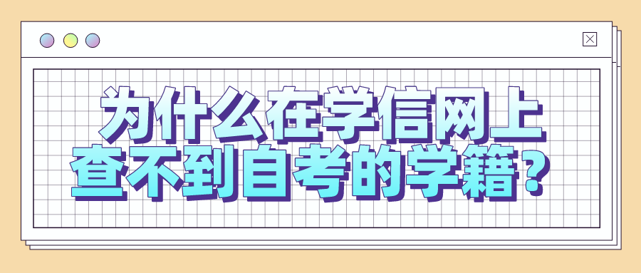 為什么在學信網上，查不到自考的學籍？
