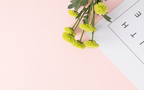 重慶自考會計學本科成績查詢