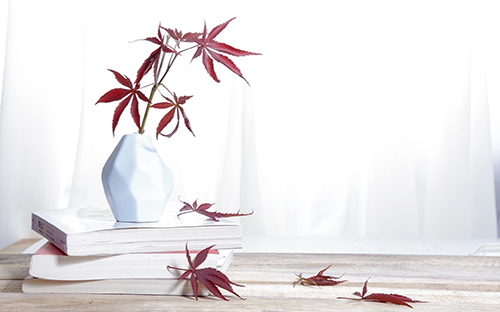 重慶交通大學(xué)自考專升本報名入口